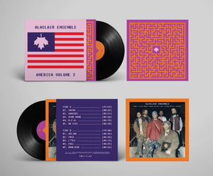 AMERICA, VOL. 2 - Vinyle
